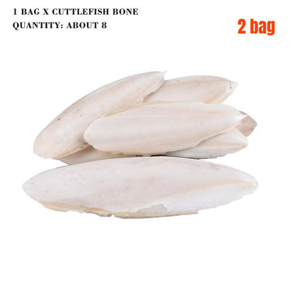 Cuttlefish Bone Natural Cuttlebone Parrot Chew Toys Parrot Calcium Supplements for Bird Cockatiel Parakeet Parrot