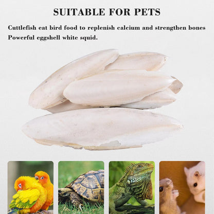 Cuttlefish Bone Natural Cuttlebone Parrot Chew Toys Parrot Calcium Supplements for Bird Cockatiel Parakeet Parrot