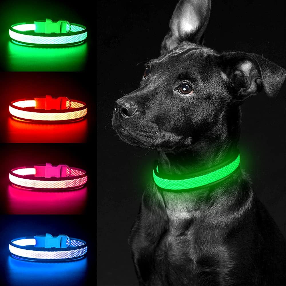 Light up Dog Collar, Rechargeable LED Dog Collar, Flashing Dog Collar, Adjustable Reflective Dog Collar Safety Glowing at Night (Green, Small)