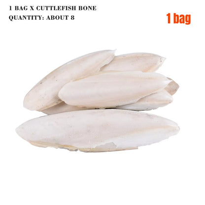 Cuttlefish Bone Natural Cuttlebone Parrot Chew Toys Parrot Calcium Supplements for Bird Cockatiel Parakeet Parrot