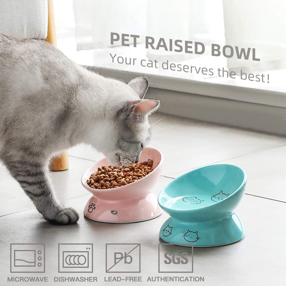 Ceramic Raised Cat Bowls, Slanted Cat Dish Food or Water Bowls, Elevated Porcelain Pet Feeder Bowl Protect Cat'S Spine, Stress Free, Backflow Prevention (Pink)