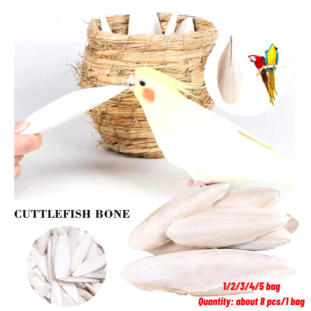 Cuttlefish Bone Natural Cuttlebone Parrot Chew Toys Parrot Calcium Supplements for Bird Cockatiel Parakeet Parrot